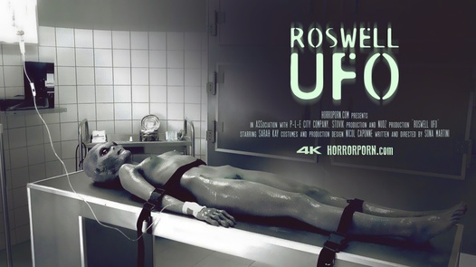 Horrorporn / Roswell UFO / Horror Porn 33